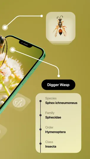 Capture d'écran de Insect Identifier sur iPhone 2