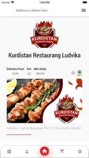 kurdistan restaurang ludvika iphone screenshot 1