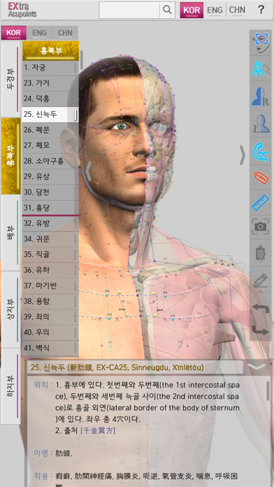 Extra Acupoints Screenshot