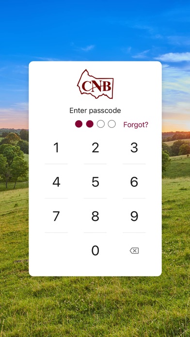 Citizens Nat'l Bank Lebanon Ky Screenshot