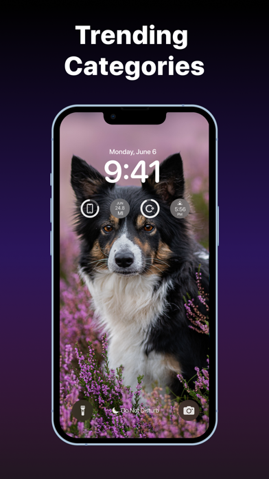 Wallspark Wallpapers Screenshot