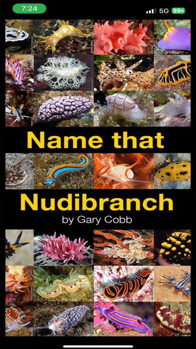 Name that Nudibranch Screenshot