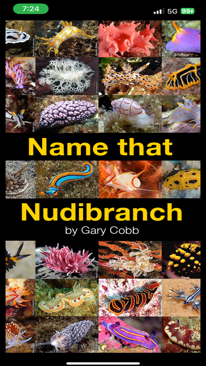Name that Nudibranch