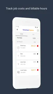timesheet express time tracker iphone screenshot 1