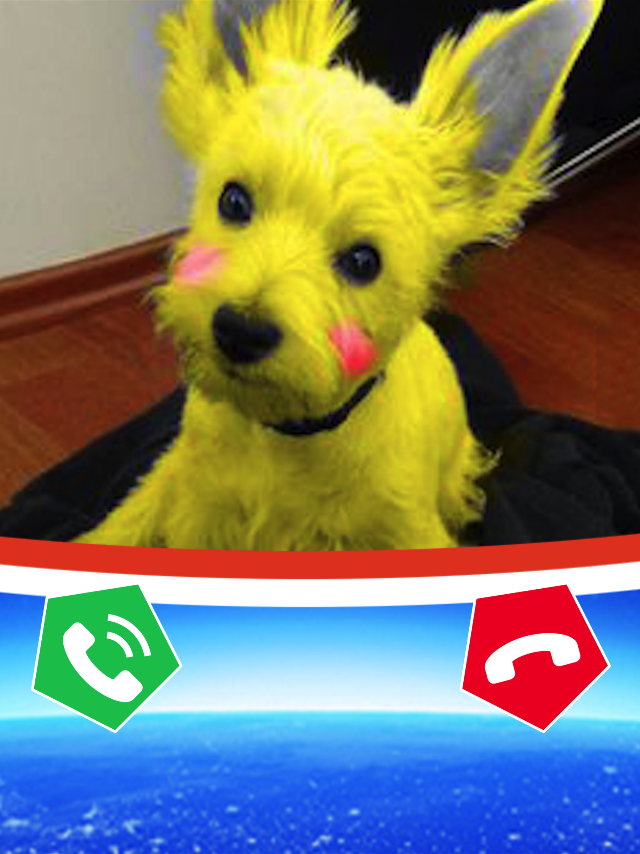 My Talking Dog Calling You!