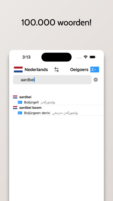 Oeigoers-Nederlands Screenshot