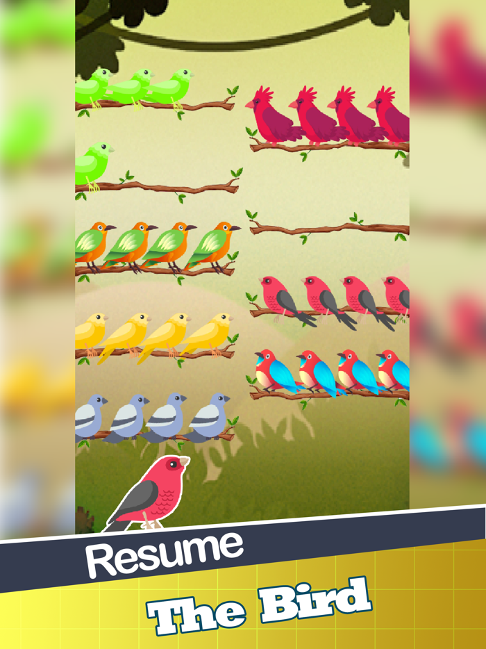 Color Puzzle Sort Bird Game