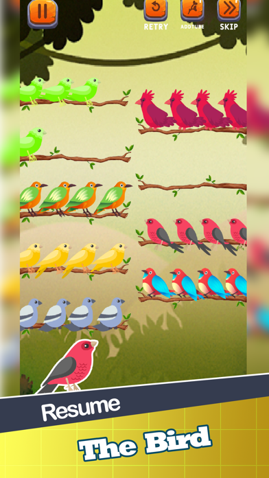 Color Puzzle Sort Bird Game Screenshot