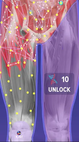 Game screenshot Idle Nerves hack