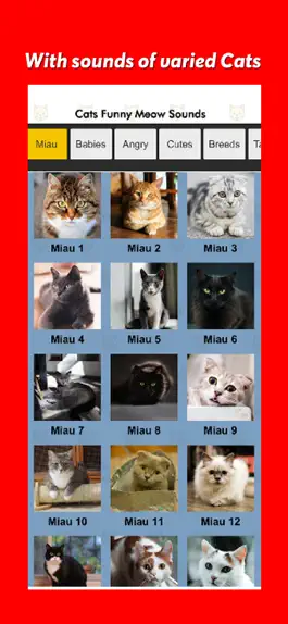 Game screenshot Cats Funny Meow Sounds mod apk