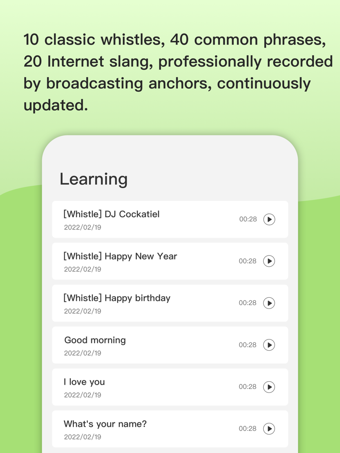 BirdTalker-Teach bird to talk