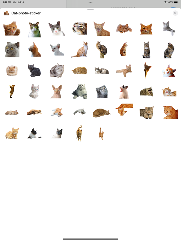 Screenshot #4 pour Cat autocollants photo