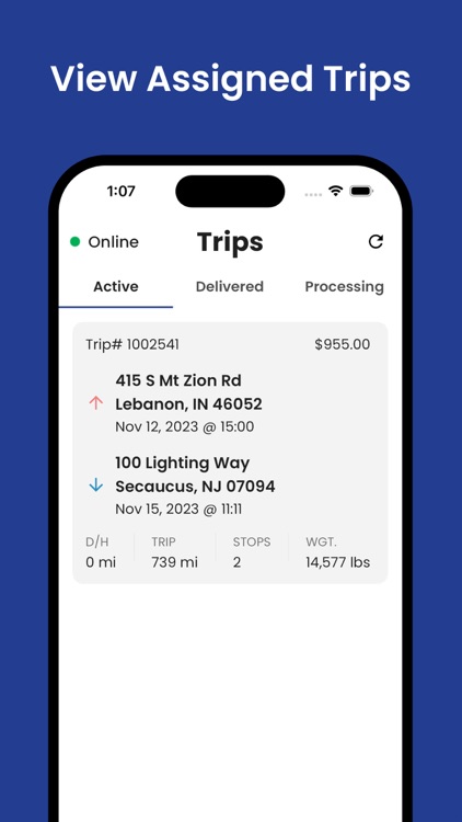 Alvys: Driver Companion