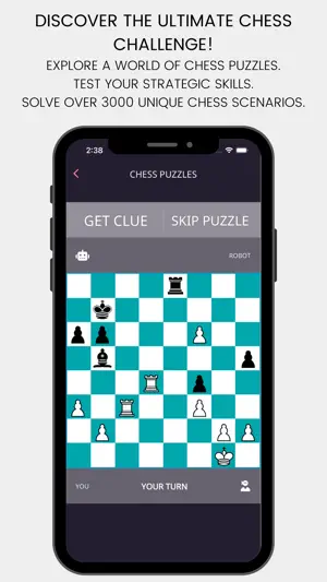 Chess Mate Puzzle screenshot 1