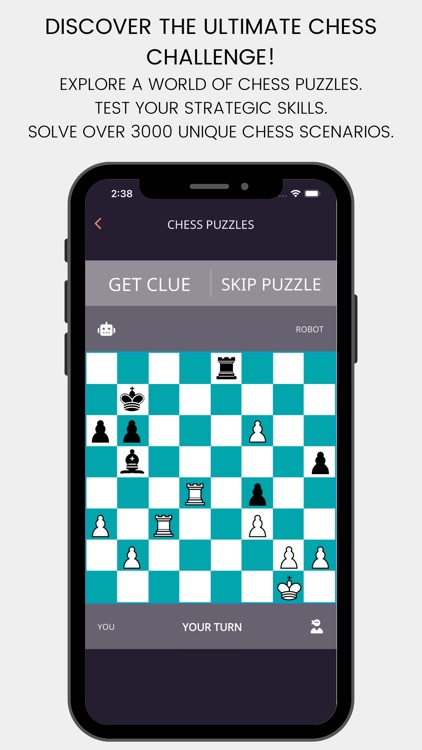 Chess Mate Puzzle