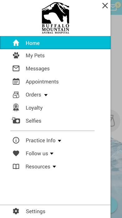 Buffalo Mtn Animal Hospital Screenshot