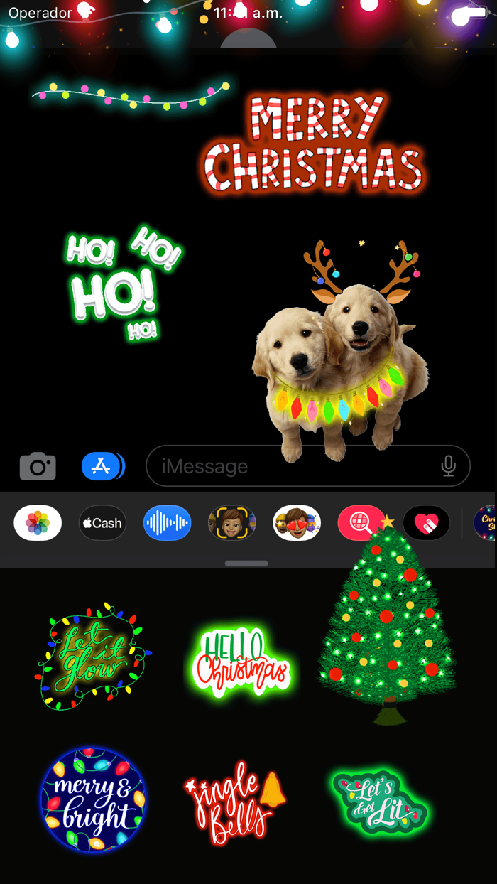 Christmas Shining Lights