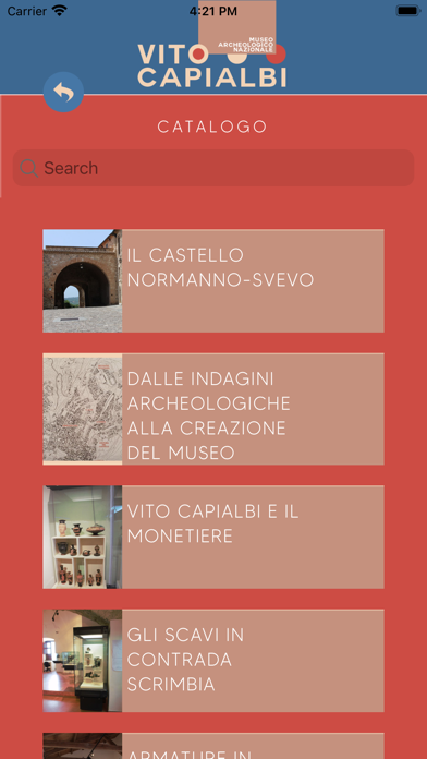VISA-Museo Vito Capialbi Screenshot