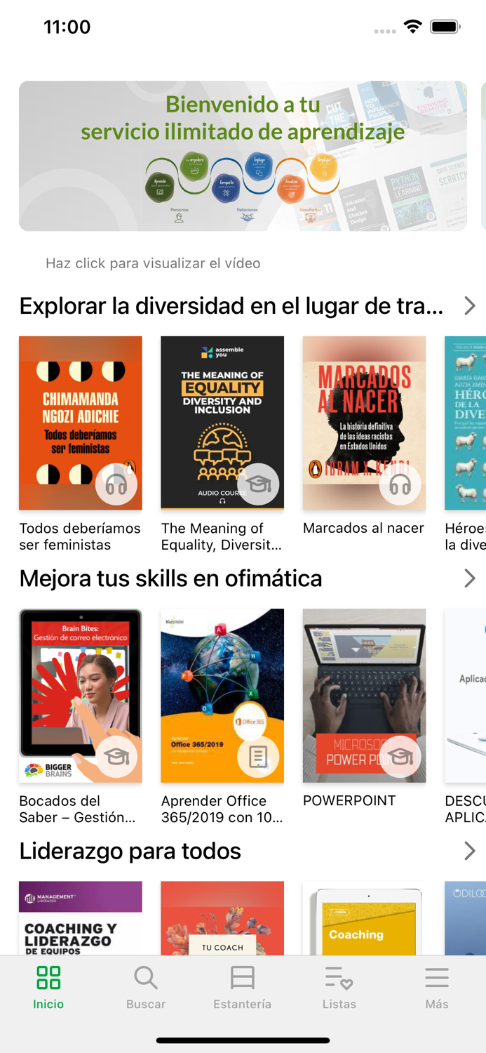 Autodesarrollo Iberdrola