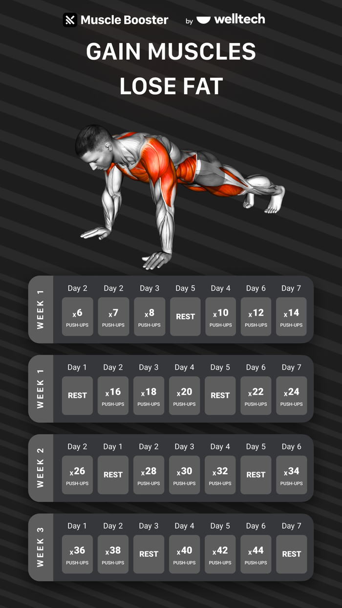 Workout Planner Muscle Booster