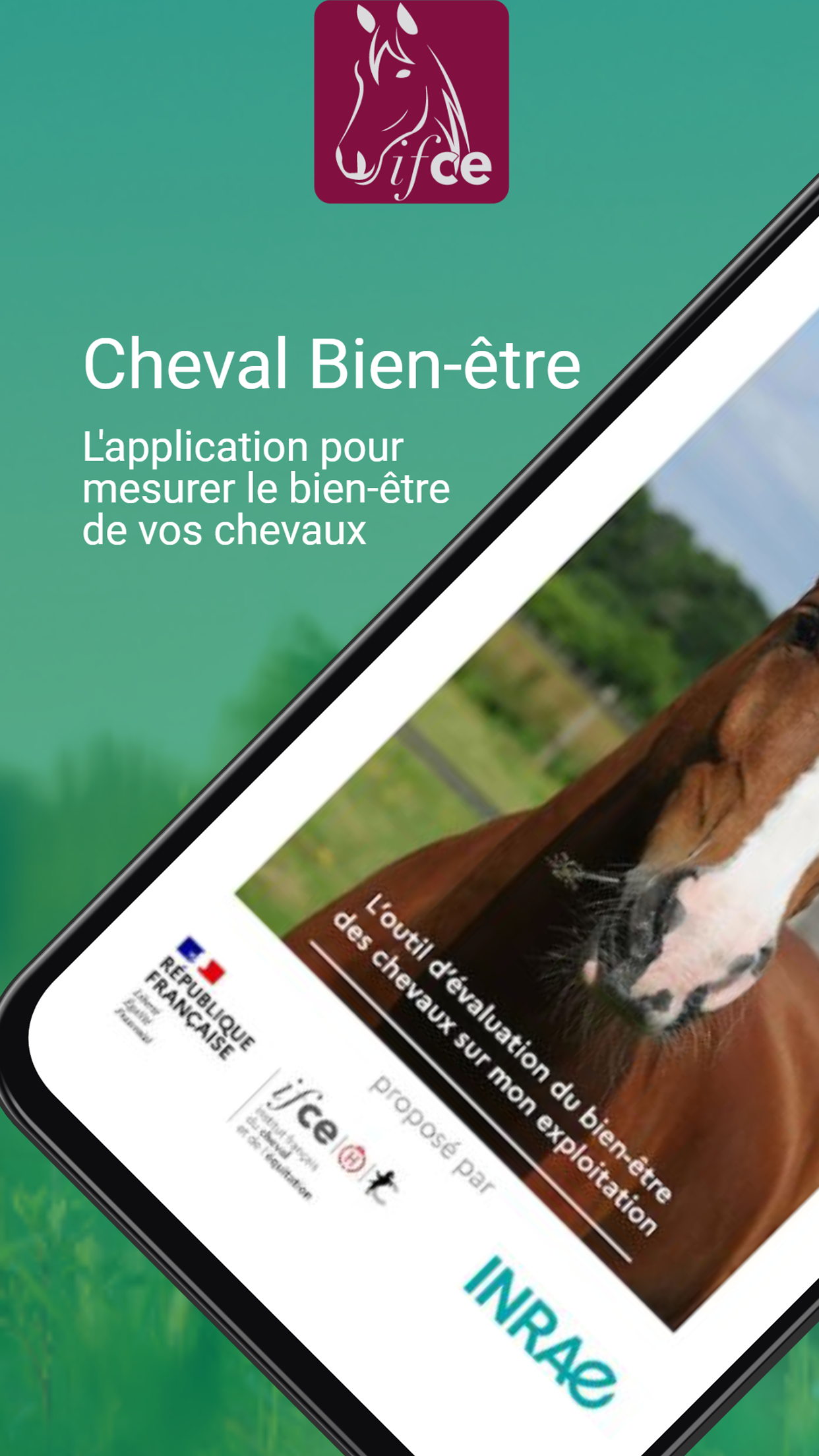 Cheval Bien Etre