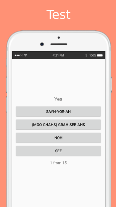 Spanish Phrasebook offline Screenshot