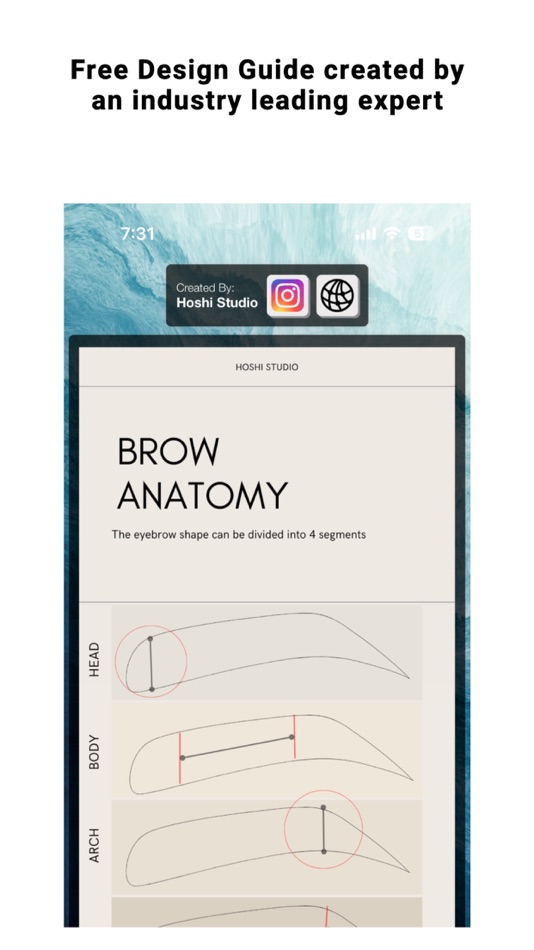 #6. Brow Designer (iOS) 由: SADWARE INCORPORATED