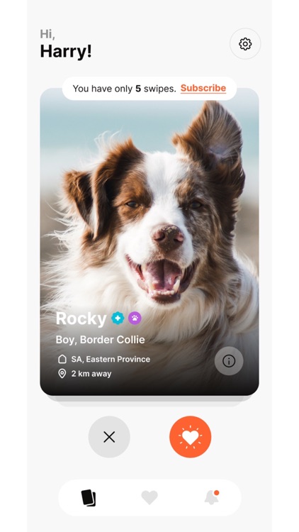 SHERAZI screenshot-4