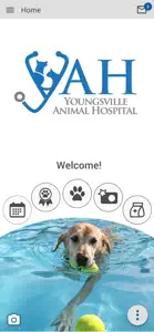 Youngsville AH screenshot #1 for iPhone