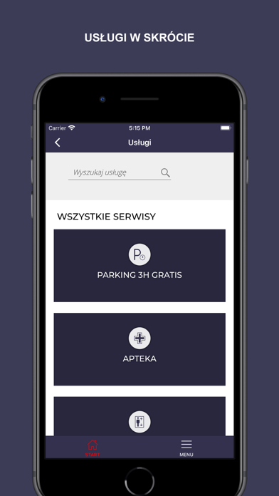 Avenida Poznań Screenshot