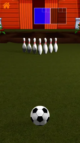 Game screenshot Swiftly Soccer hack