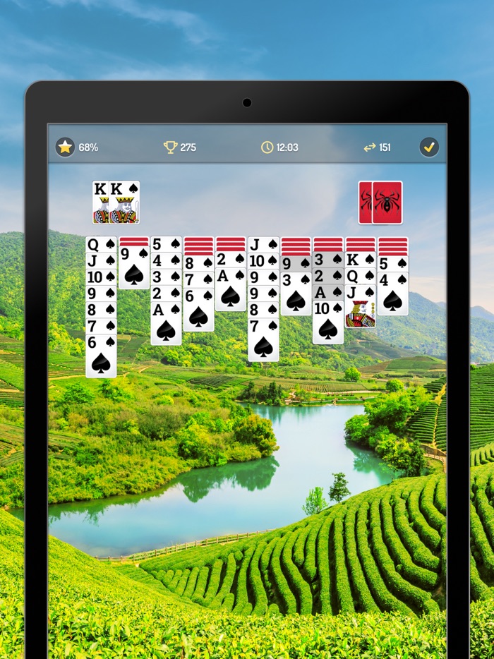 Spider Solitaire 1 Card Game