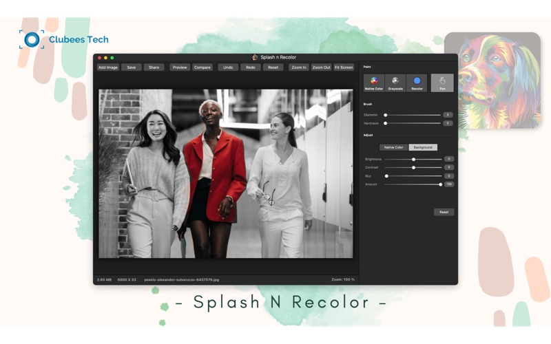 Screenshot #1 pour Image Splash