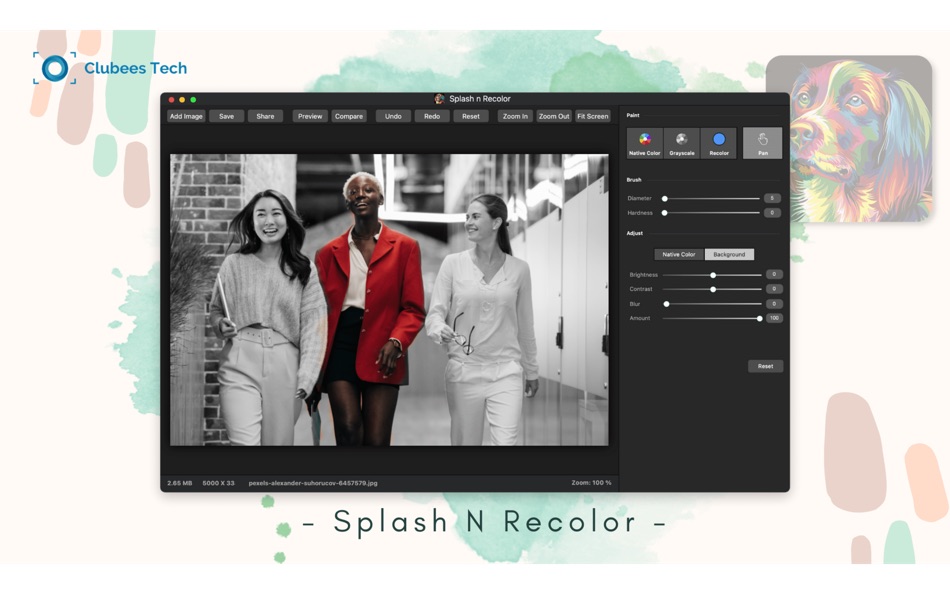 Splash n Recolor - 4.3 - (macOS)