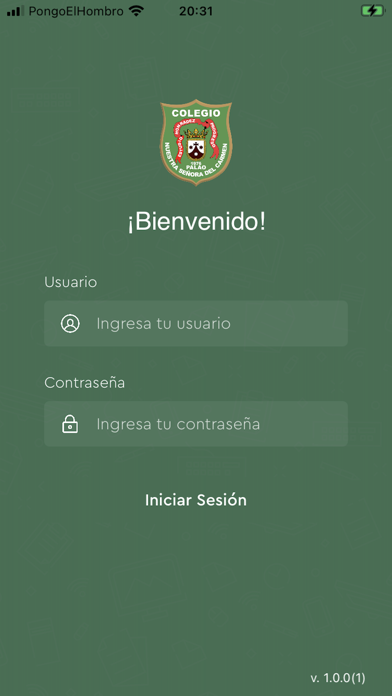 IEP Ns.Sra del Carmen de Palao Screenshot
