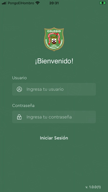 IEP Ns.Sra del Carmen de Palao