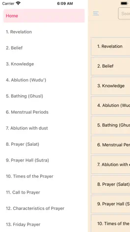 Game screenshot Bukhari's Sahih apk