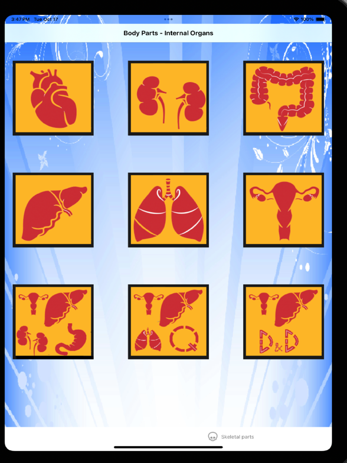 Body Parts Skeletal and Internal