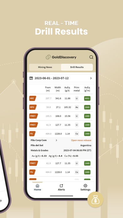 GoldDiscovery Screenshot