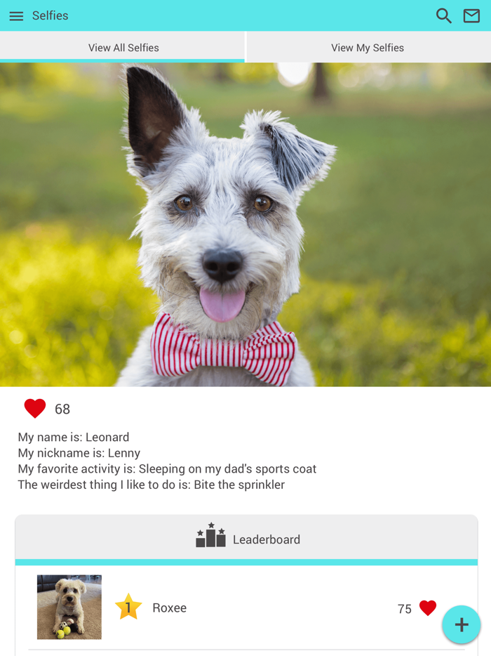 Willow Grace Vet Hospital