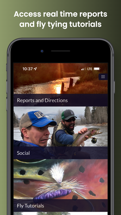 Montana Fly Picker Screenshot