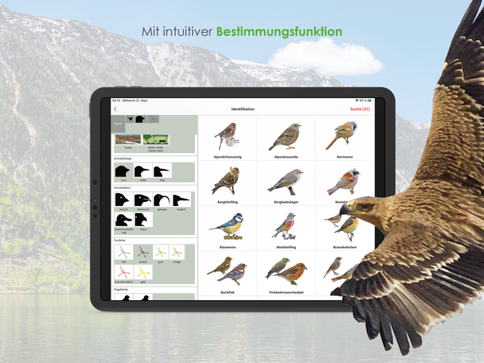 Vögel in Österreich