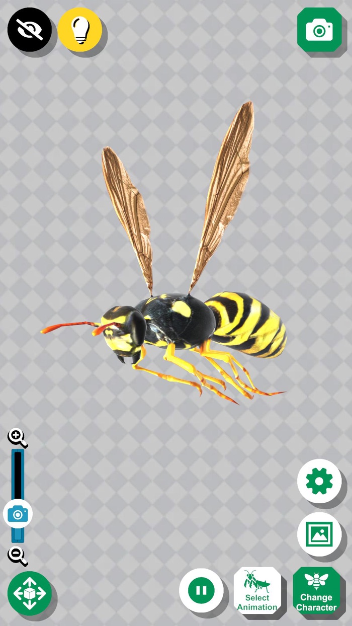Insect 3D Reference