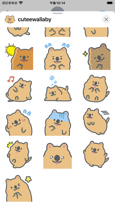 cute wallaby sticker Screenshot