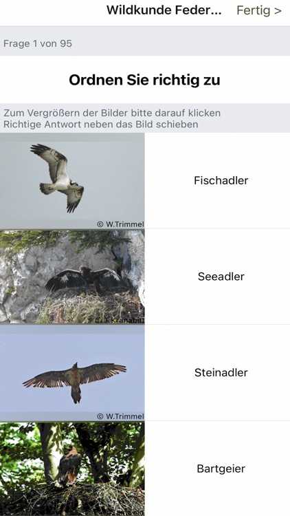 Leitbruch