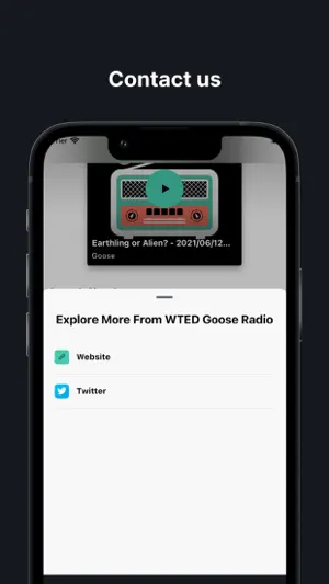 WTED Goose Radio screenshot 3