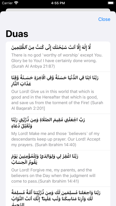 Dhikr Pro Screenshot