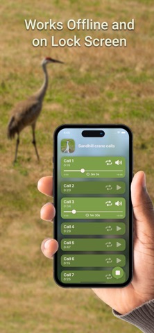 Hunting Calls: Craneのおすすめ画像3