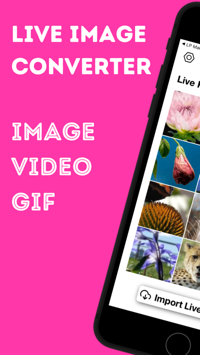 Live Photo Converter * Screenshot