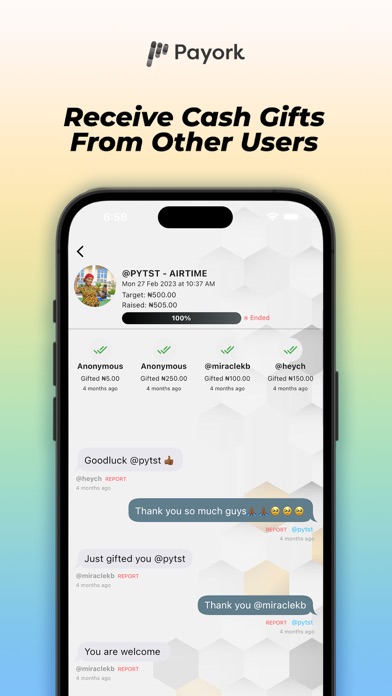 Payork Screenshot